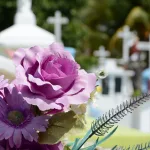 生と死の名言集23選!人生&命の大切さがわかる偉人達の言葉